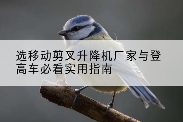 仲巴电动升降机厂家-选移动剪叉升降机厂家与登高车必看实用指南