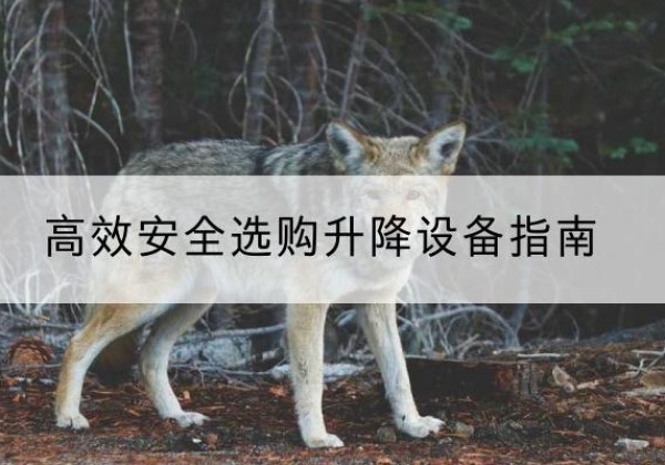 仲巴升降货梯厂家推荐-*安全选购升降设备指南
