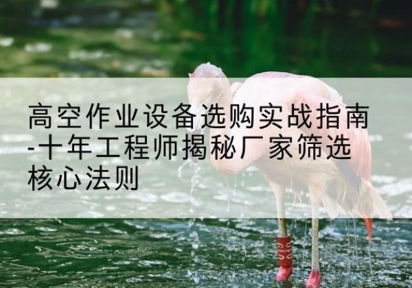 仲巴剪叉式升降机厂家-高空作业设备选购实战指南-十年工程师揭秘厂家筛选核心法则
